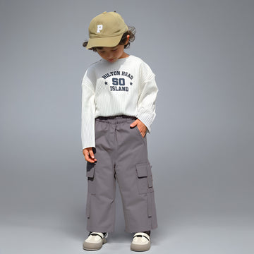 Fox Grey Cargo Pants