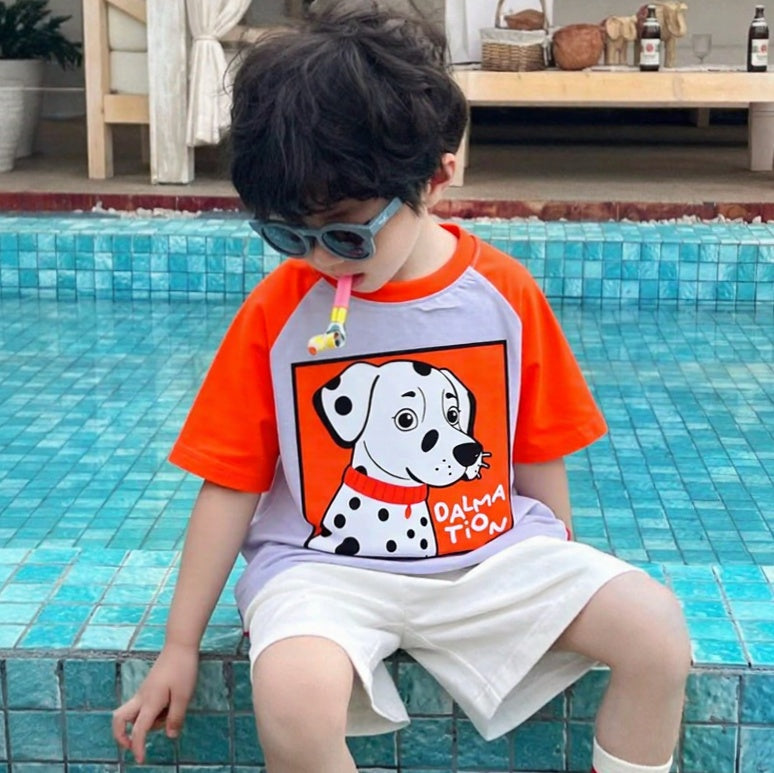 Dalmation Mauve And Orange Dual Shade Tee